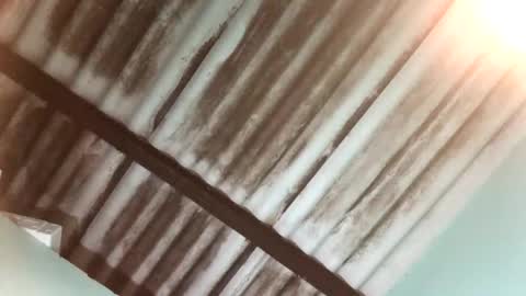 Snapshot of maximo_vega_new chatting on 01-25-25, 04:02 Maximo Aron Vega online show from 01-25-25, 04:02