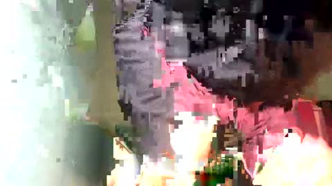 Snapshot of maximo_vega_new chatting on 02-05-25, 11:44 Maximo Aron Vega online show from 02-05-25, 11:44