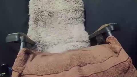 Max online show from 01-08-25, 09:34