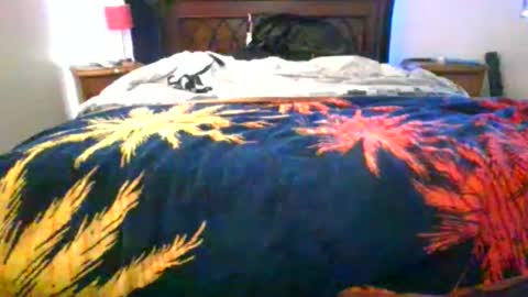 Max online show from 02-05-26, 08:19