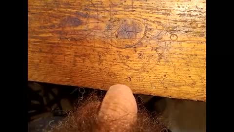 Max online show from 12-29-24, 01:17