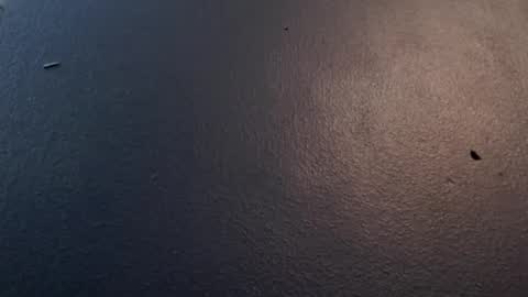 Snapshot of maxwellandpam chatting on 01-29-25, 05:09 Max and Pam Voyeur Cam online show from 01-29-25, 05:09