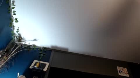 Snapshot of maxwellandpam chatting on 02-16-25, 07:48 Max and Pam Voyeur Cam online show from 02-16-25, 07:48