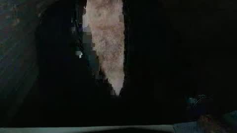 Beastie online show from 11-05-25, 03:50