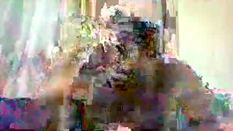 Snapshot of mclntz_bbc chatting on 05-13-26, 12:24 mclntz_bbc online show from 05-13-26, 12:24