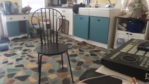 mdman32 online show from 02-28-25, 03:15