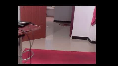 me_hai12 online show from 12-17-24, 03:39