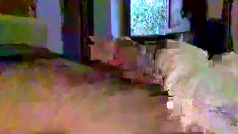 Snapshot of mecalientasmucho chatting on 05-11-26, 04:40 mecalientasmucho online show from 05-11-26, 04:40