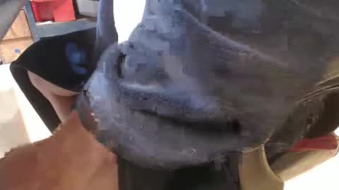 Snapshot of mee9090e900 chatting on 09-19-25, 11:11 mee9090e900 online show from 09-19-25, 11:11