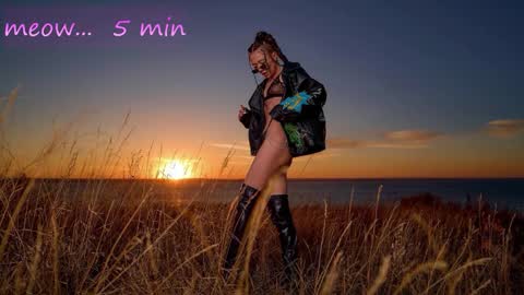 Sweet Meow nonude online show from 10-31-25, 12:55