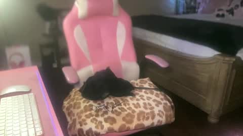 Southern Peach online show from 09-27-25, 04:17