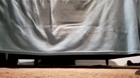 megacock420420 online show from 12-10-24, 02:27