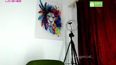 Snapshot of megan_cat chatting on 11-11-25, 11:21 megan_cat online show from 11-11-25, 11:21