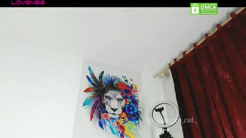 Snapshot of megan_cat chatting on 11-13-25, 10:52 megan_cat online show from 11-13-25, 10:52