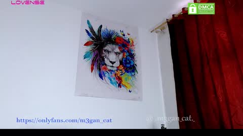 Snapshot of megan_cat chatting on 11-18-25, 08:46 megan_cat online show from 11-18-25, 08:46