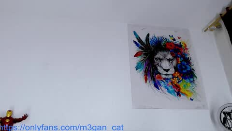 Snapshot of megan_cat chatting on 11-25-25, 10:59 megan_cat online show from 11-25-25, 10:59