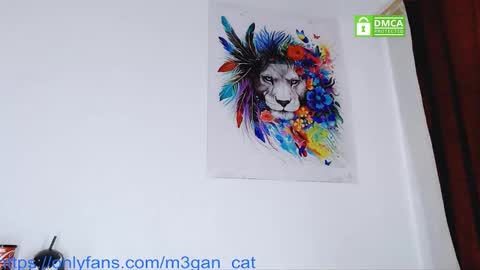 Snapshot of megan_cat chatting on 12-01-25, 03:28 megan_cat online show from 12-01-25, 03:28