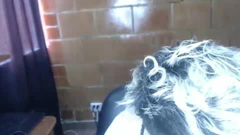 Snapshot of megan_coop3r_ chatting on 04-07-26, 05:13 Megan and sophi online show from 04-07-26, 05:13