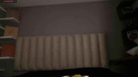     online show from 02-02-26, 12:37