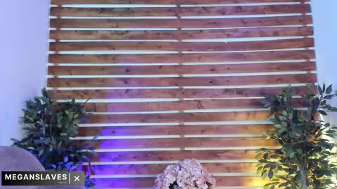 megan_raiin online show from 11-18-25, 08:41