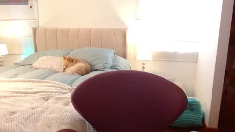 MEGAN online show from 01-02-25, 08:35