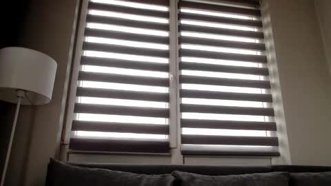 Snapshot of melani_a chatting on 12-31-24, 11:53 Melania online show from 12-31-24, 11:53