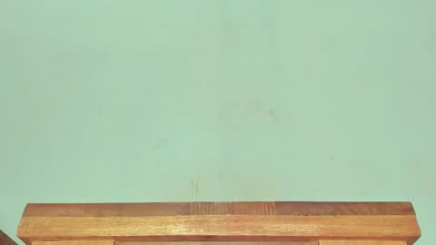 Snapshot of melania_browis chatting on 03-01-25, 06:24 Melania online show from 03-01-25, 06:24