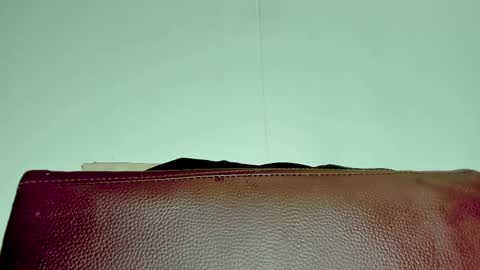 Snapshot of melania_browis chatting on 11-06-25, 03:51 Melania online show from 11-06-25, 03:51