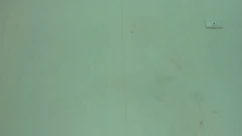 Snapshot of melania_browis chatting on 05-04-26, 03:41 Melania online show from 05-04-26, 03:41
