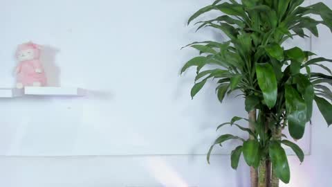 Snapshot of melissa_latingirl chatting on 01-10-25, 11:39 Melissa online show from 01-10-25, 11:39