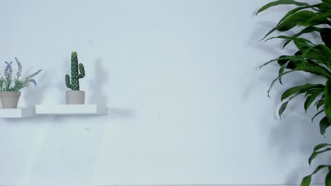 Snapshot of melissa_latingirl chatting on 01-28-25, 12:26 Melissa online show from 01-28-25, 12:26