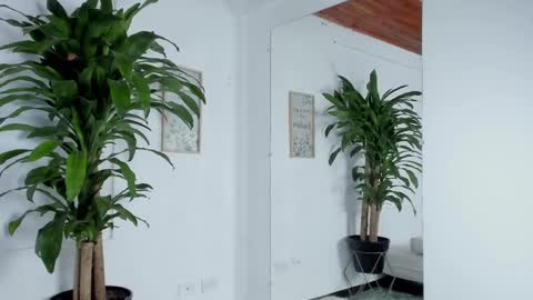 Snapshot of melissa_latingirl chatting on 02-11-25, 05:47 Melissa online show from 02-11-25, 05:47