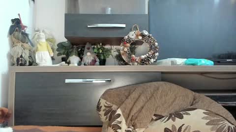 Snapshot of mellbell_ chatting on 01-08-25, 10:58 MellyMell  online show from 01-08-25, 10:58