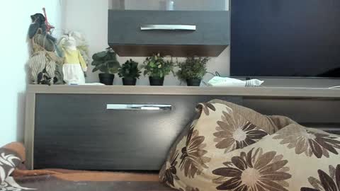 Snapshot of mellbell_ chatting on 01-30-25, 11:02 MellyMell  online show from 01-30-25, 11:02