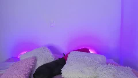    online show from 03-05-25, 04:56