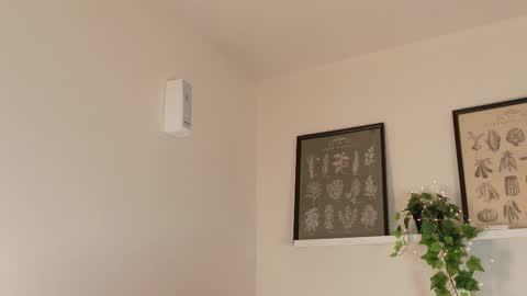  Memphis Williams  online show from 02-17-26, 04:20