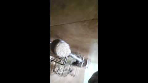 men_seeker online show from 02-12-26, 12:49