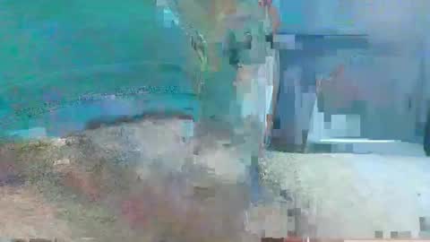 Manuke online show from 12-01-24, 11:36