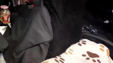 Giorggio Fragacci online show from 01-24-25, 04:16