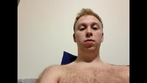 meow732 online show from 10-15-25, 12:33