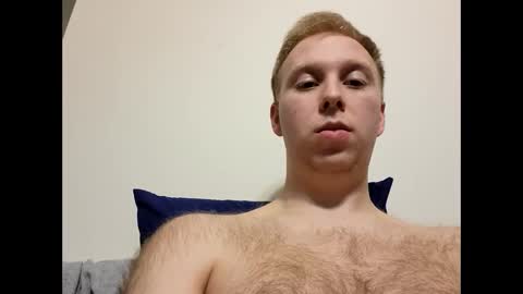 meow732 online show from 10-15-25, 11:05