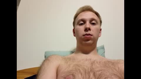 meow732 online show from 10-26-25, 05:13