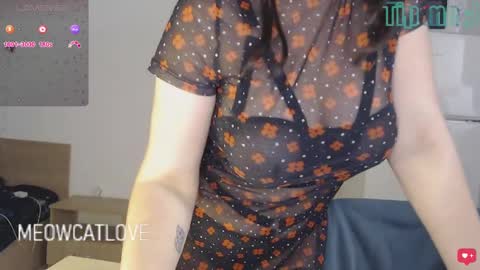 Snapshot of meowcatlove chatting on 12-24-24, 09:00 meowcatlove online show from 12-24-24, 09:00