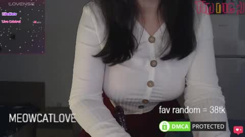 Snapshot of meowcatlove chatting on 01-20-25, 09:01 meowcatlove online show from 01-20-25, 09:01