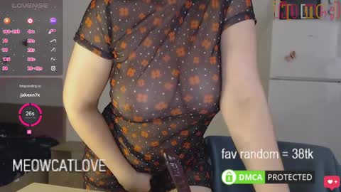 Snapshot of meowcatlove chatting on 01-25-25, 08:00 meowcatlove online show from 01-25-25, 08:00