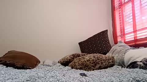 Snapshot of meowzers777 chatting on 12-15-24, 06:48 meowzers777 online show from 12-15-24, 06:48