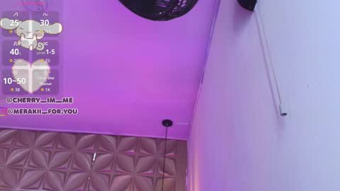 Snapshot of meraki_fraise chatting on 11-23-25, 07:57 online show from 11-23-25, 07:57