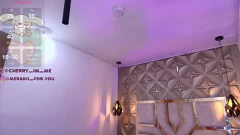 Snapshot of meraki_fraise chatting on 11-29-25, 07:06 online show from 11-29-25, 07:06