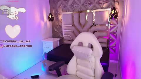 Snapshot of meraki_fraise chatting on 12-03-25, 07:34 online show from 12-03-25, 07:34