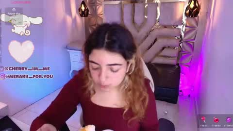 Snapshot of meraki_fraise chatting on 12-04-25, 08:06 online show from 12-04-25, 08:06